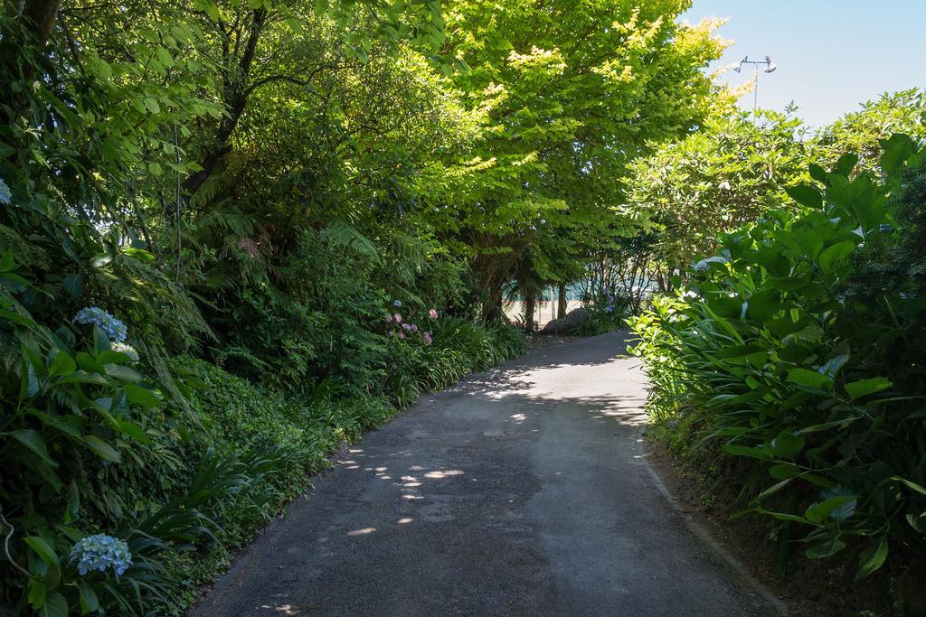 The Flying Trout Boutique Lodge Taupo Exterior photo